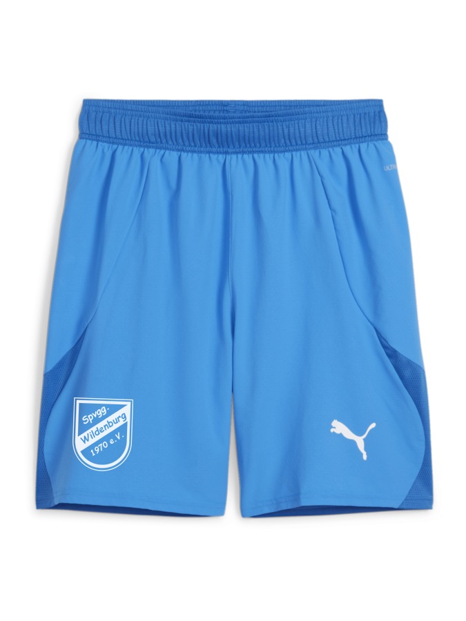 PUMA teamFINAL Shorts