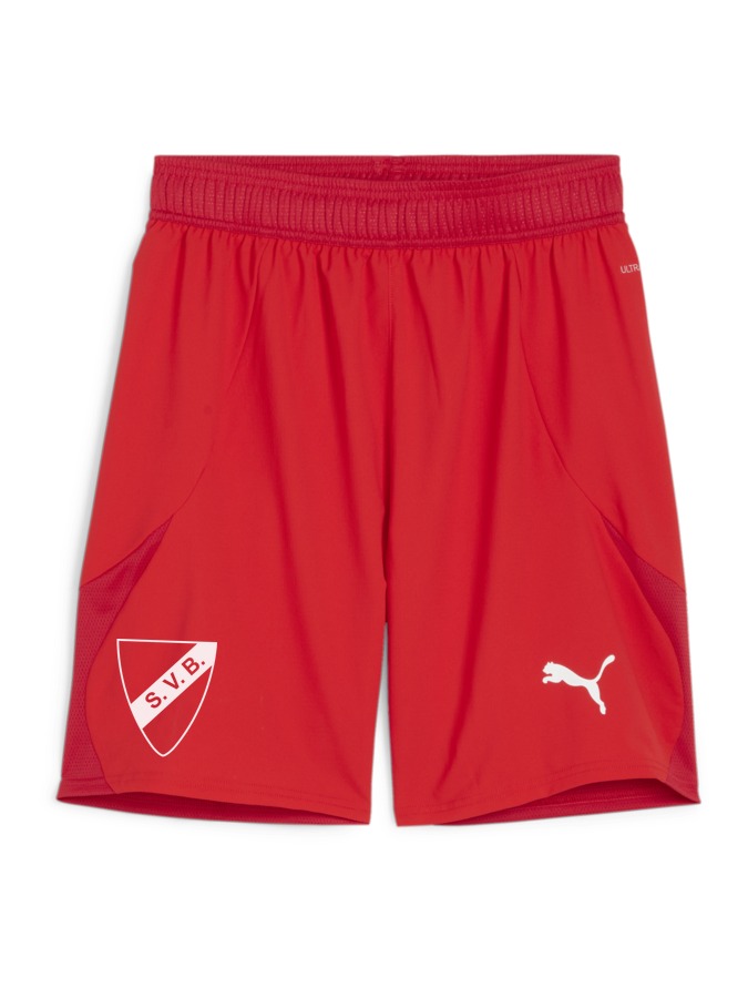 PUMA teamFINAL Shorts