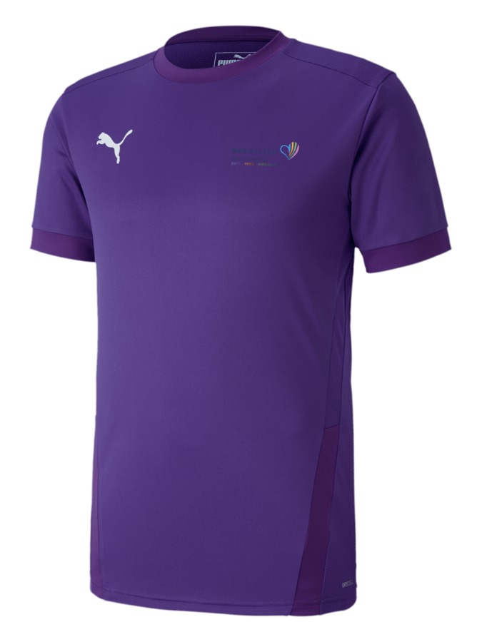PUMA teamGOAL 23 Trikot