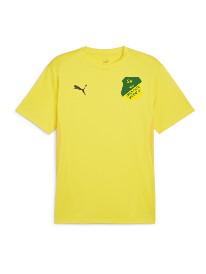 PUMA teamGOAL Trikot