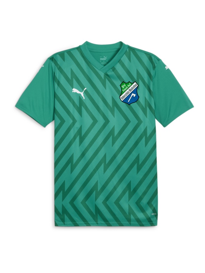 PUMA teamGLORY Trikot