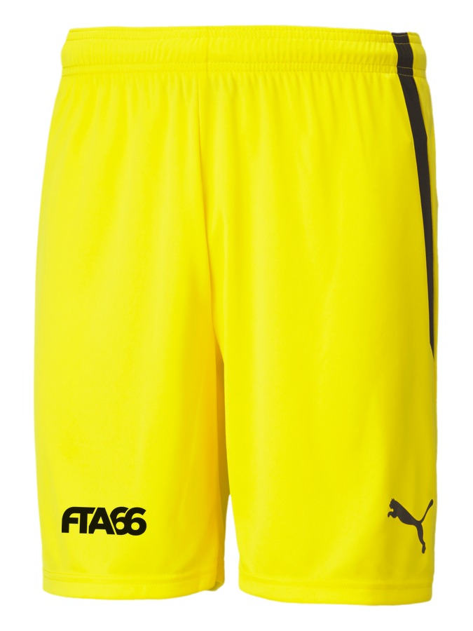 PUMA teamLIGA Shorts