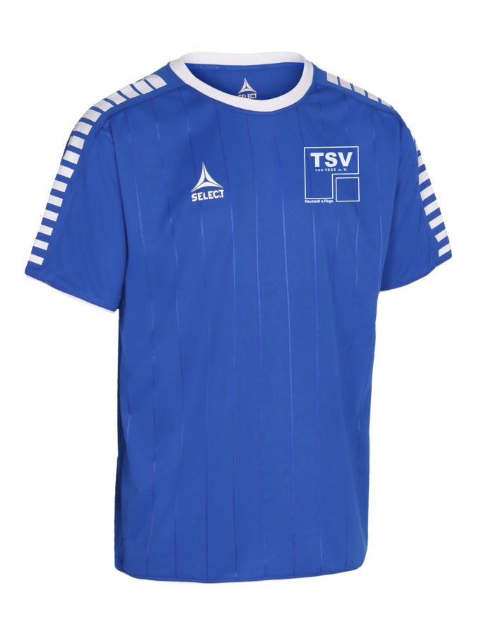 Select Argentina Trikot