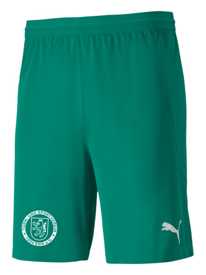 PUMA teamFINAL 21 Knit Shorts
