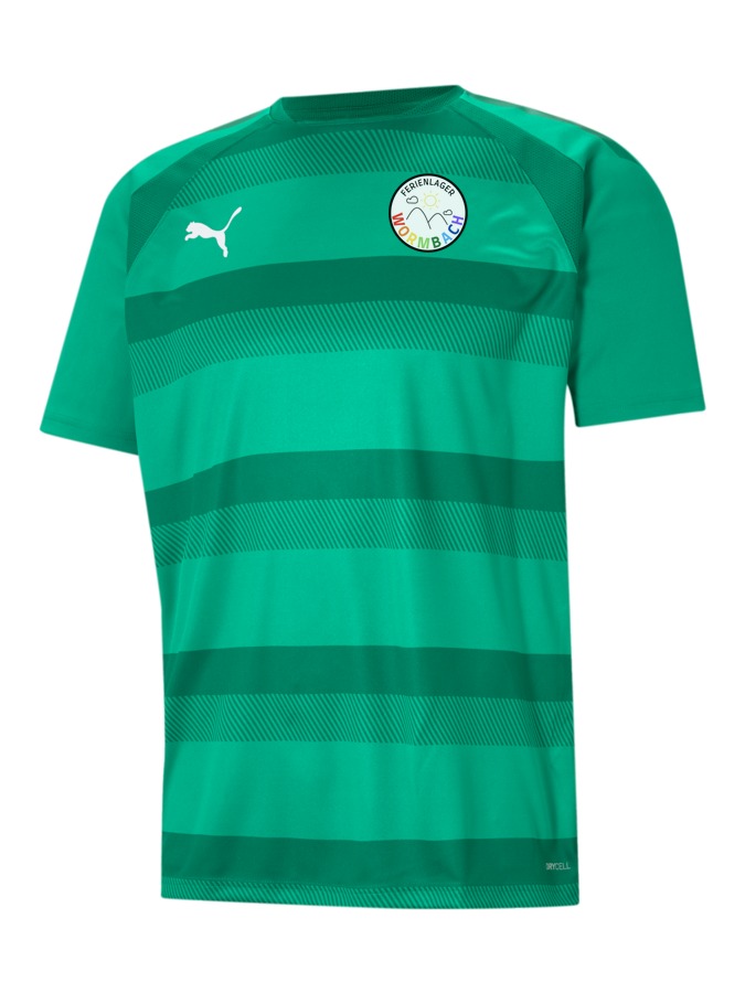 PUMA teamVISION Trikot
