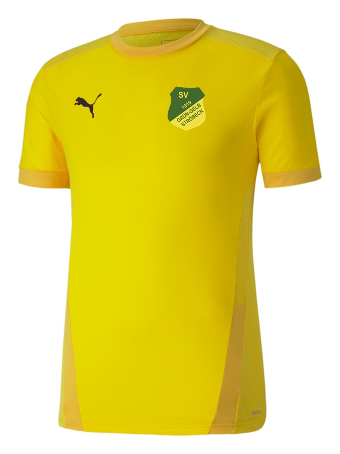 PUMA teamGOAL 23 Trikot