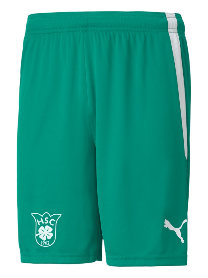 PUMA teamLIGA Shorts
