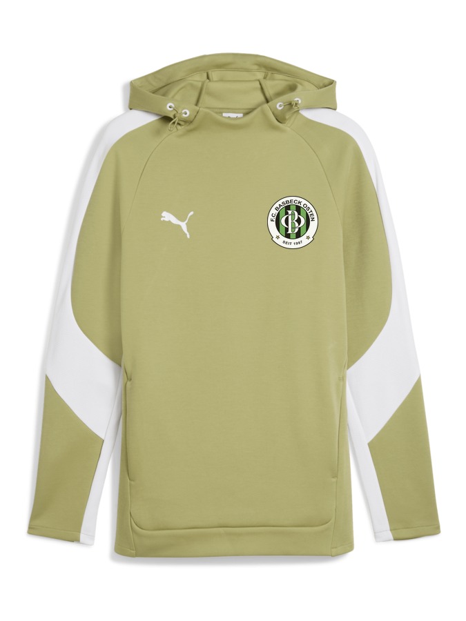 PUMA teamEVOSTRIPE Hoody
