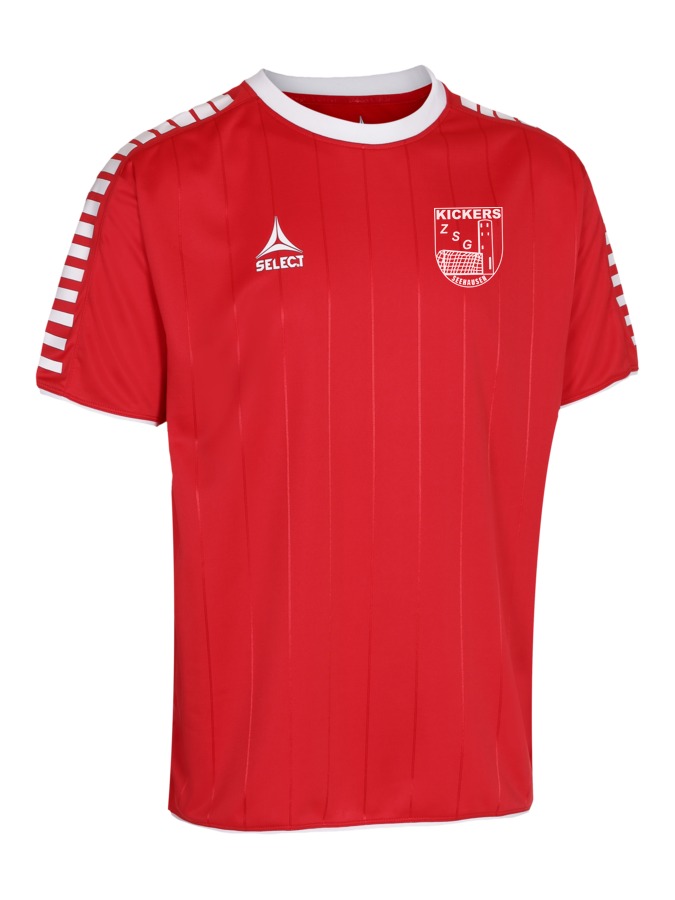 Select Argentina Trikot
