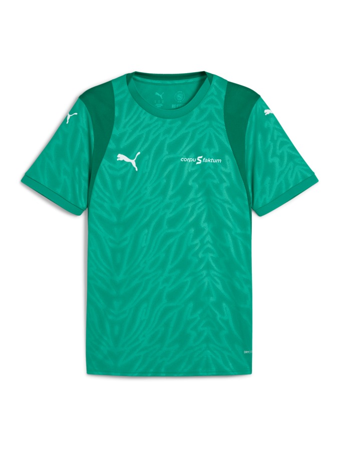 PUMA teamCUP Trikot