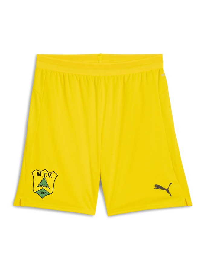 PUMA teamCUP Shorts
