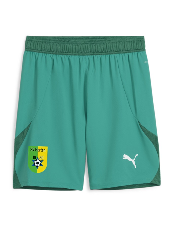 PUMA teamFINAL Shorts