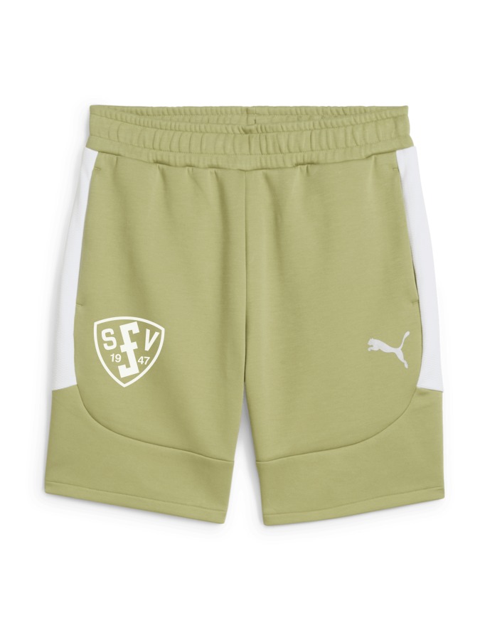 PUMA teamEVOSTRIPE Shorts