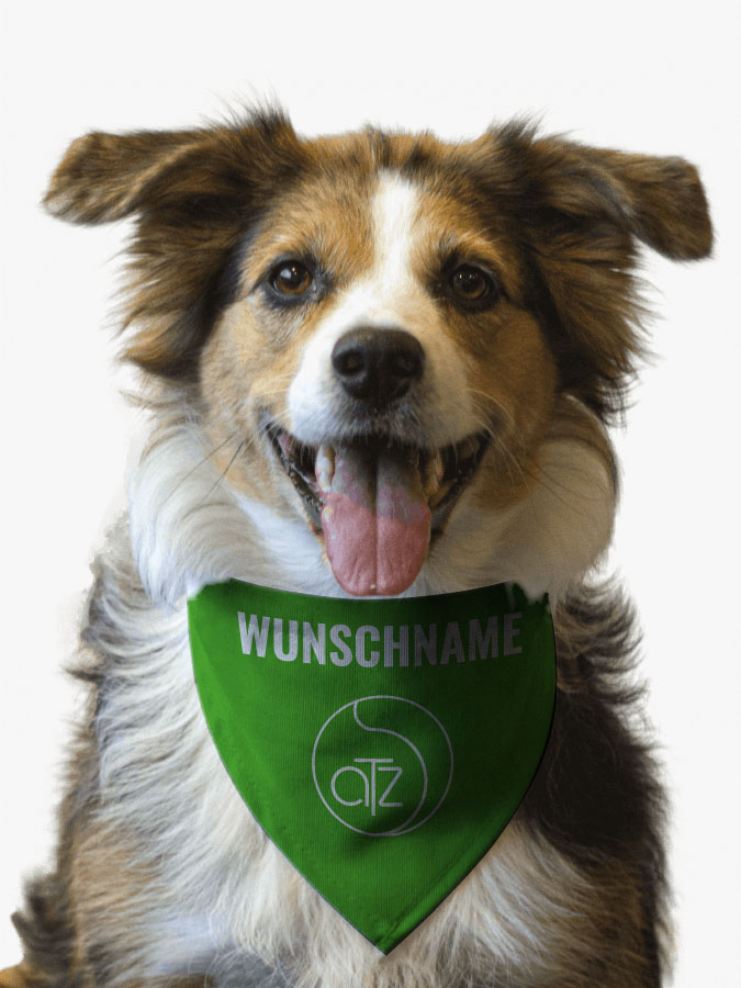 Hundehalstuch