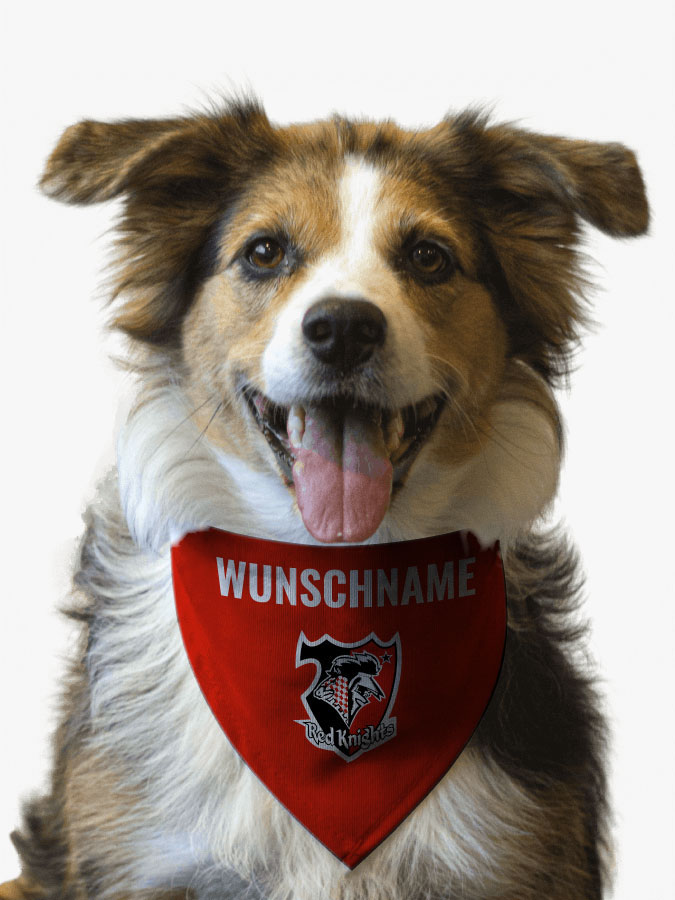 Hundehalstuch