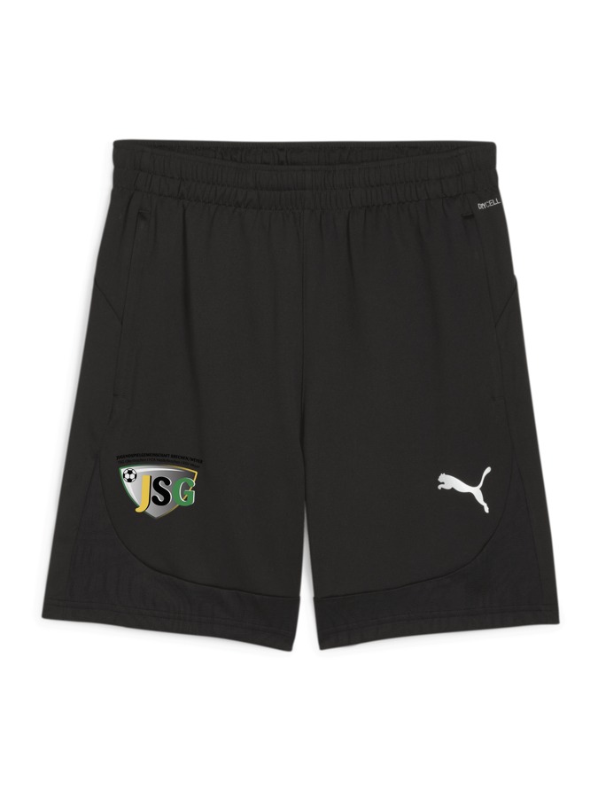 PUMA teamFINAL Training Shorts