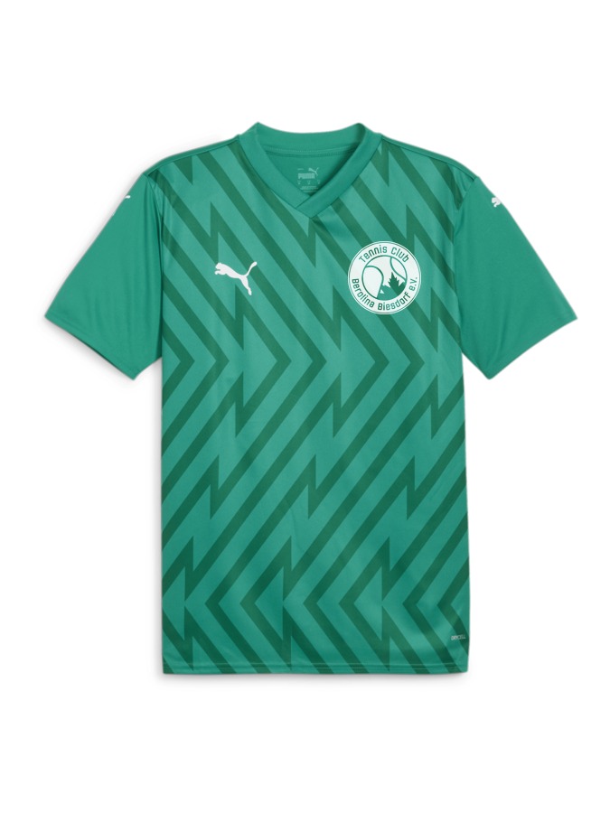 PUMA teamGLORY Trikot