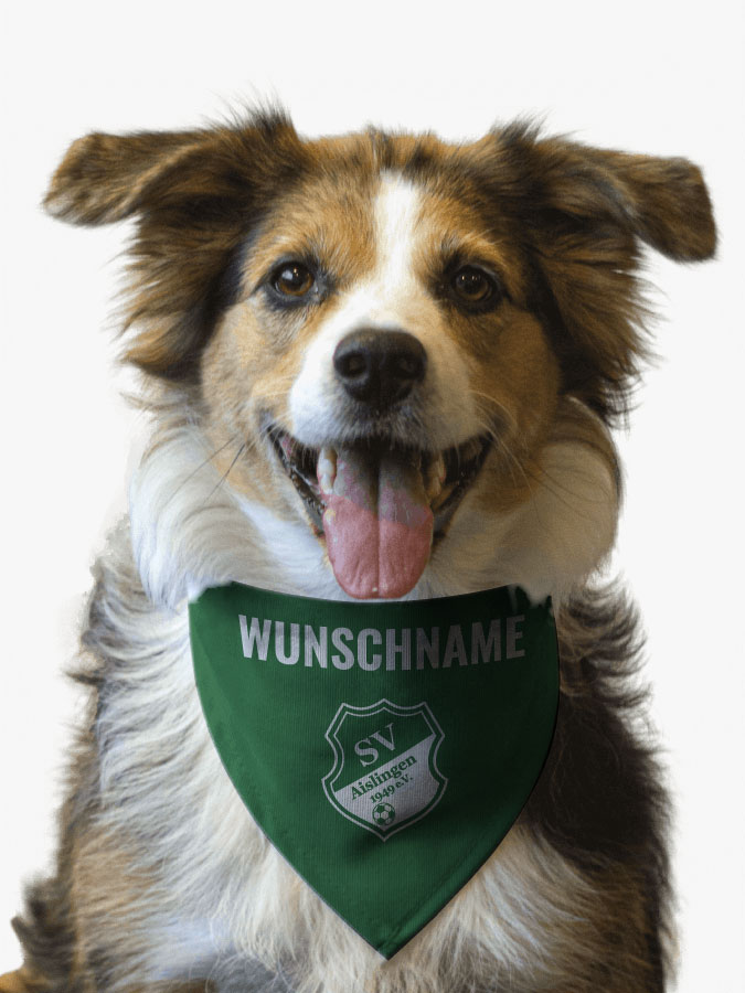 Hundehalstuch