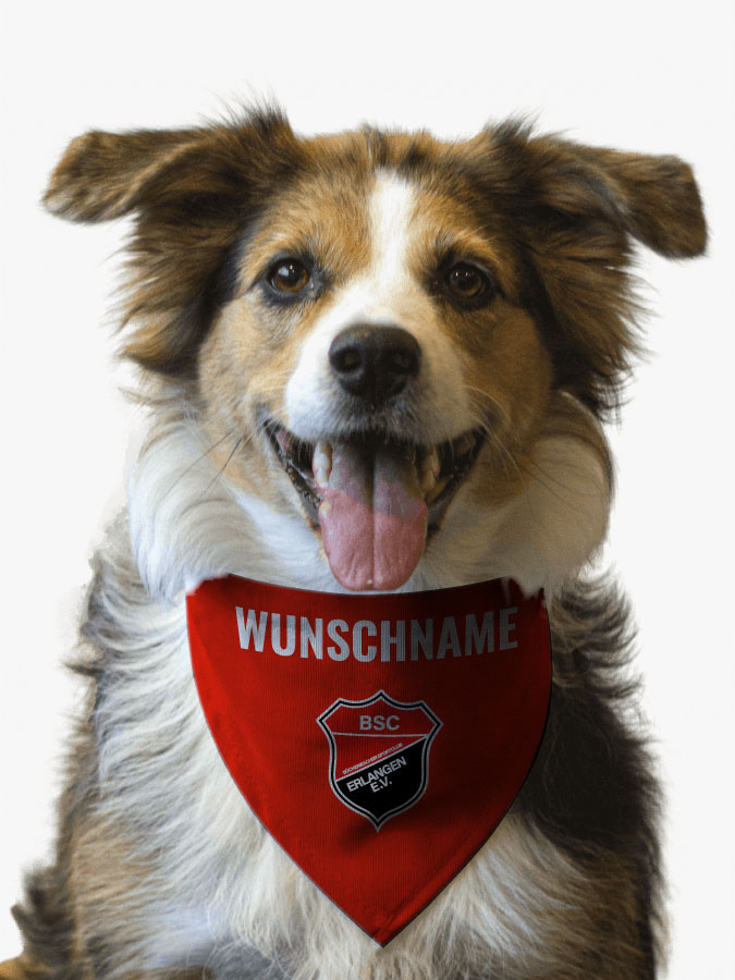 Hundehalstuch