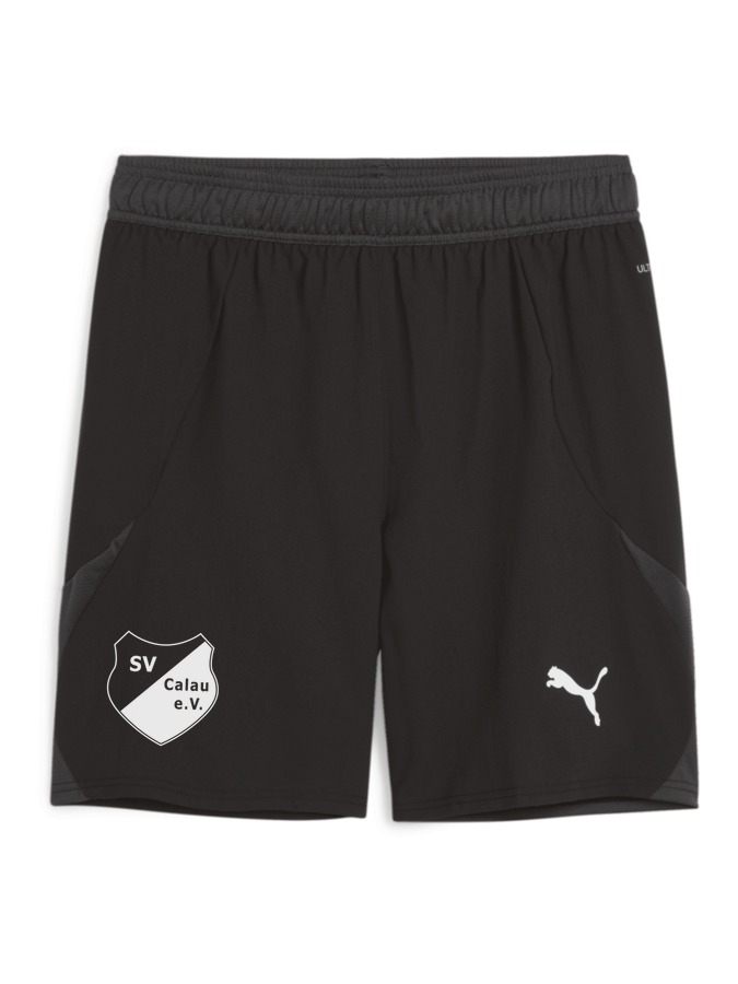 PUMA teamFINAL Shorts