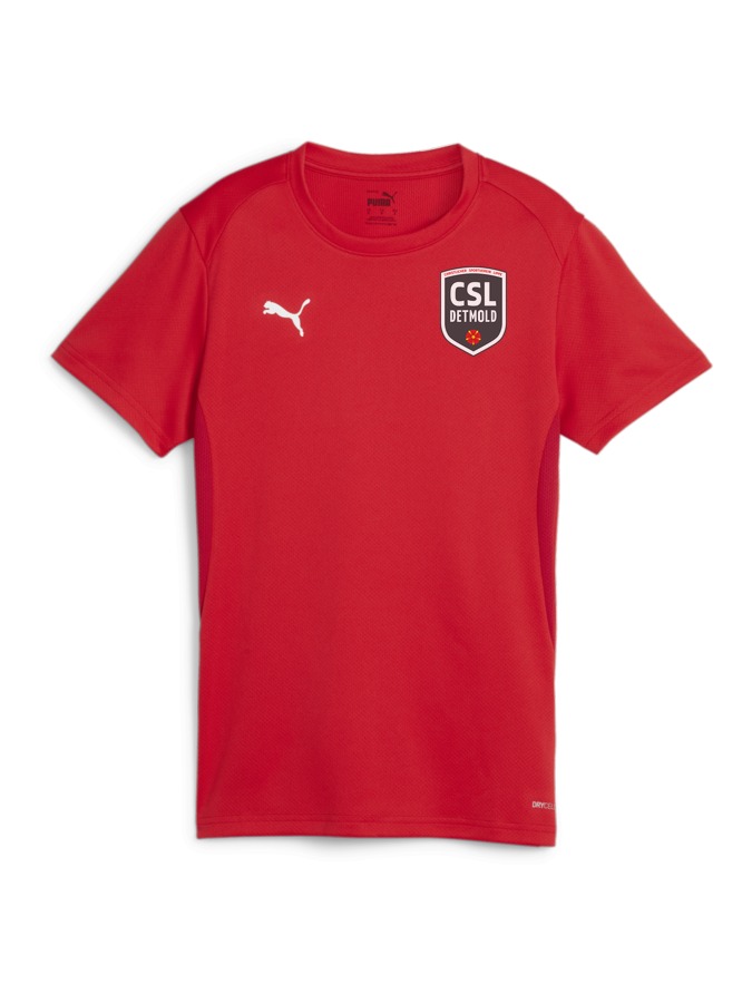 PUMA teamGOAL Trikot Damen