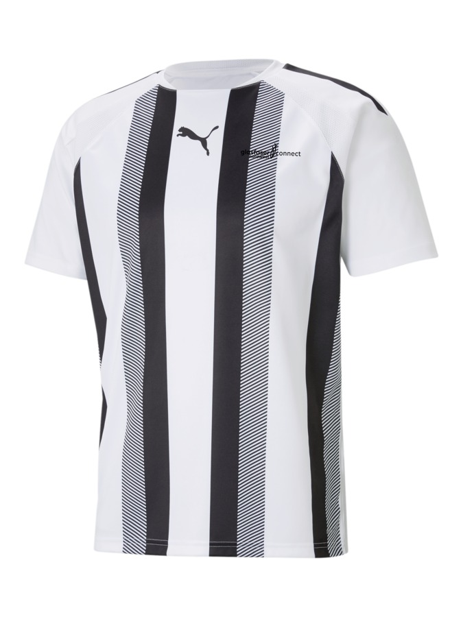 PUMA teamLIGA Striped Trikot