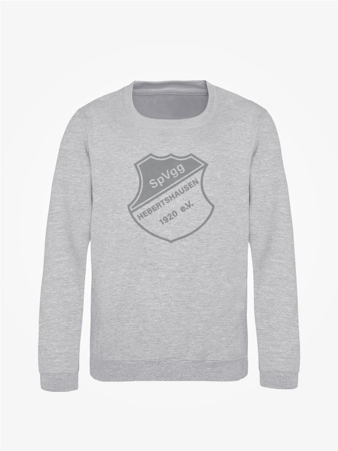 Sweater All Grey Kids Unisex
