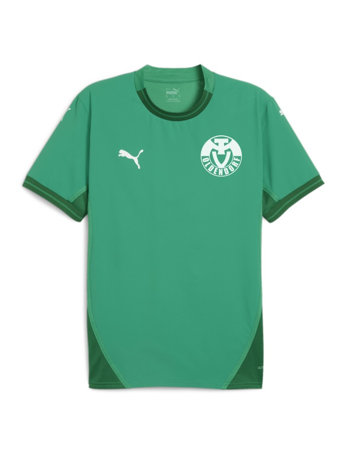PUMA teamFINAL Trikot