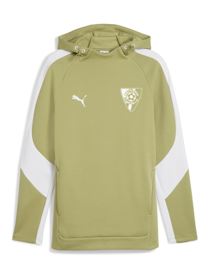 PUMA teamEVOSTRIPE Hoody