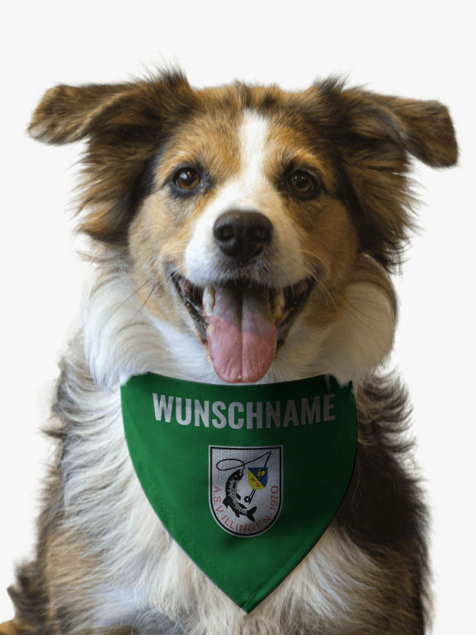 Hundehalstuch