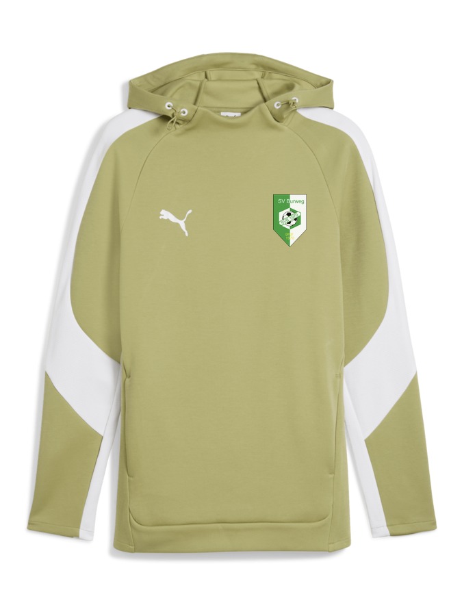 PUMA teamEVOSTRIPE Hoody