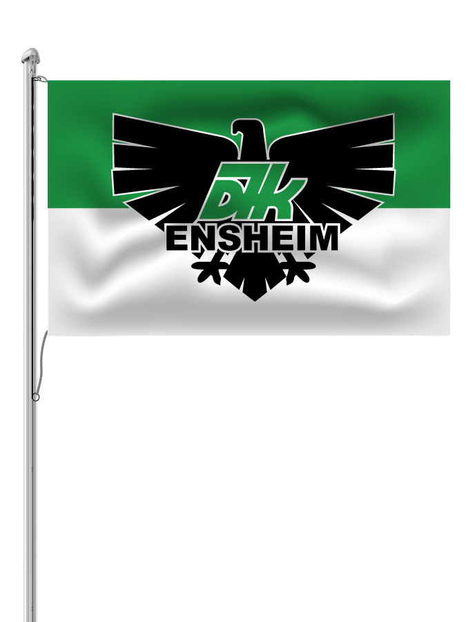 Hissfahne Logo