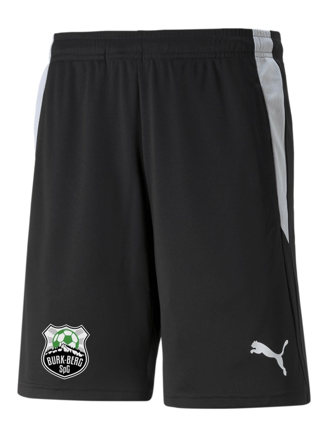 PUMA teamLIGA Referee Shorts