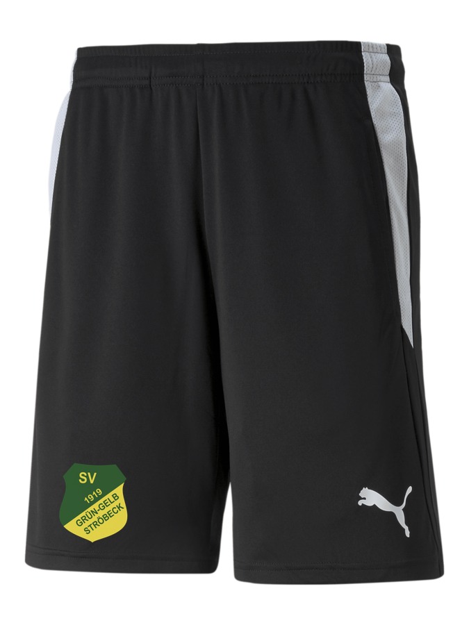 PUMA teamLIGA Referee Shorts