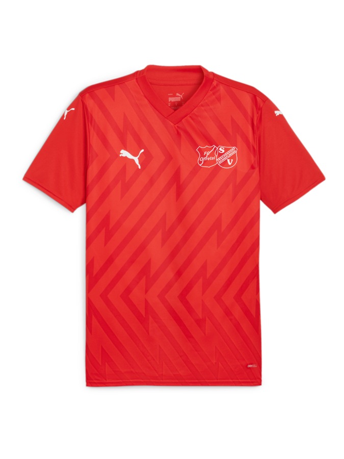 PUMA teamGLORY Trikot