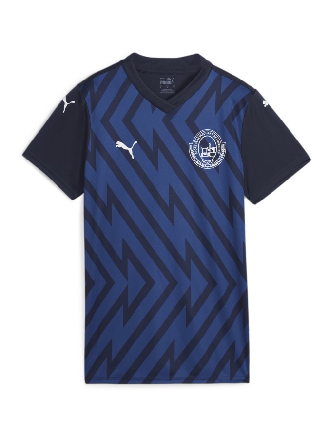 PUMA teamGLORY Trikot Damen