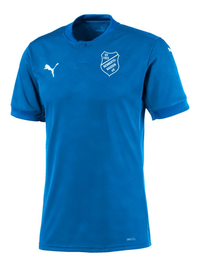 PUMA teamFINAL 21 Trikot