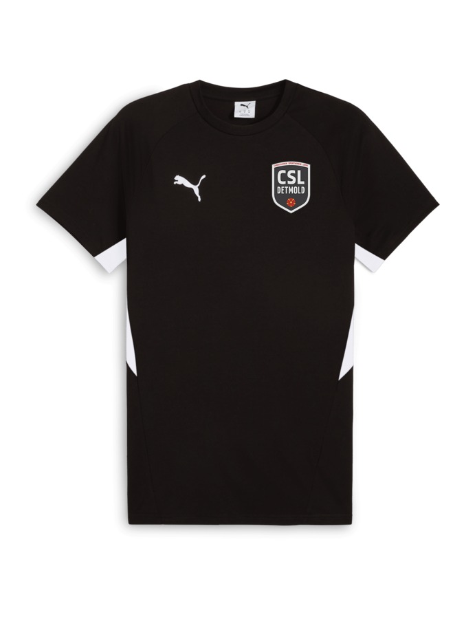 PUMA teamEVOSTRIPE T-Shirt