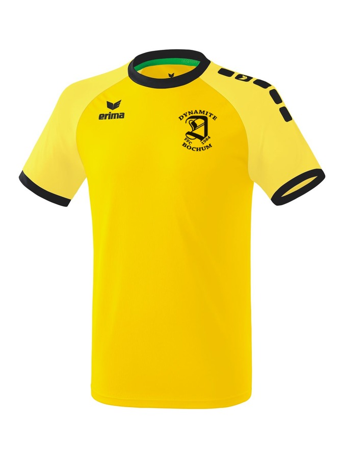 Erima Zenari 3.0 Trikot