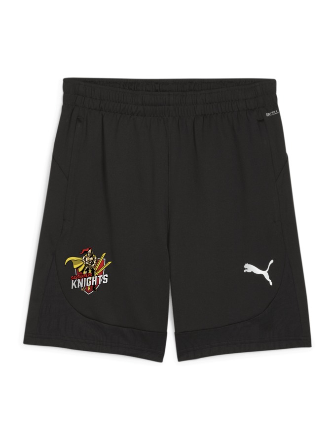 PUMA teamFINAL Training Shorts