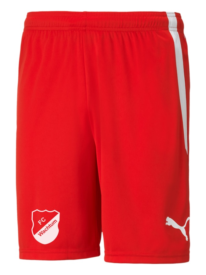 PUMA teamLIGA Shorts