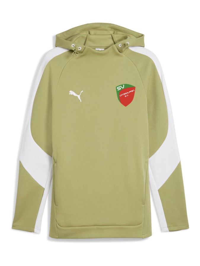 PUMA teamEVOSTRIPE Hoody