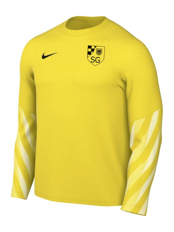 Nike Dri-FIT Park V Torwart Trikot Langarm