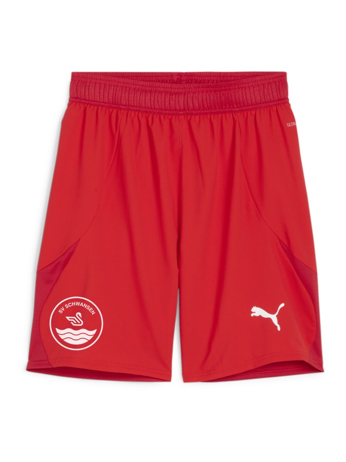 PUMA teamFINAL Shorts