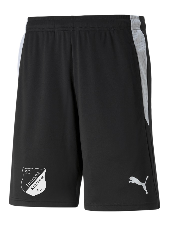 PUMA teamLIGA Referee Shorts