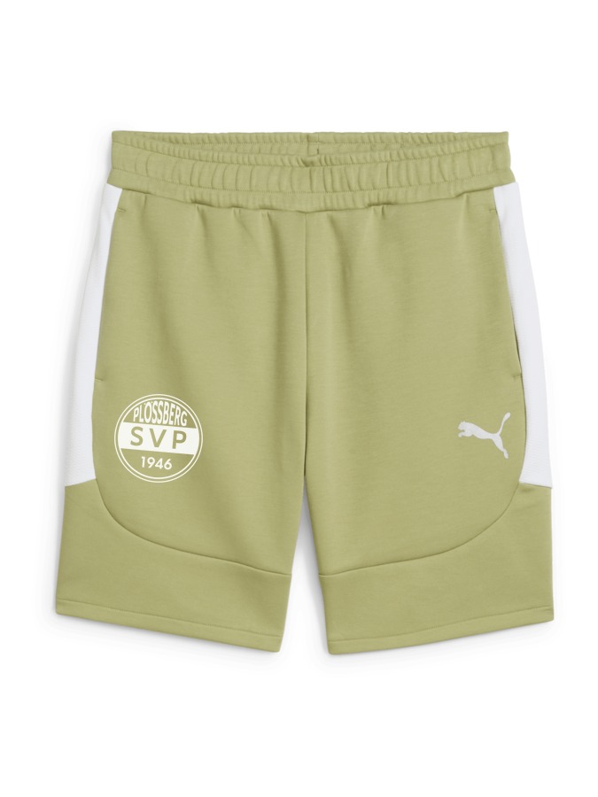 PUMA teamEVOSTRIPE Shorts