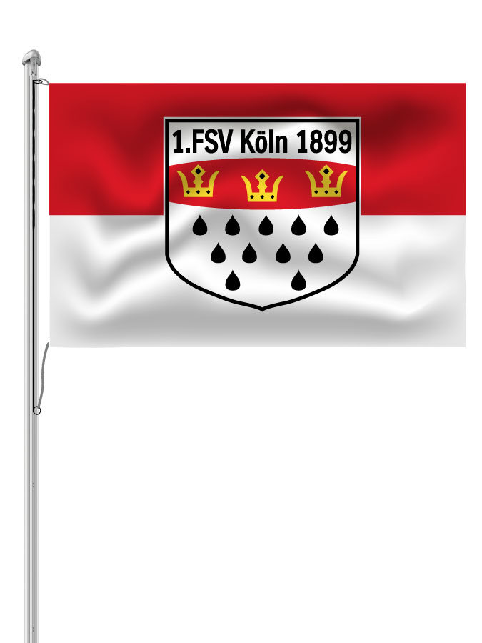Hissfahne Logo