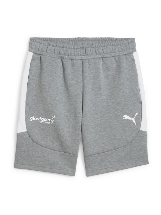 PUMA teamEVOSTRIPE Shorts
