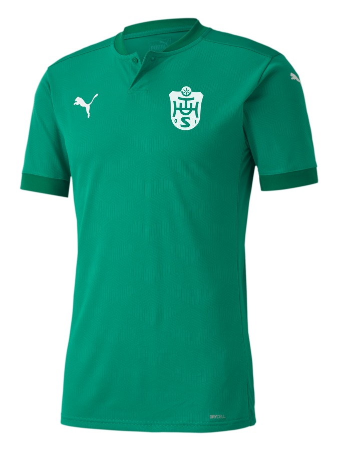 PUMA teamFINAL 21 Trikot