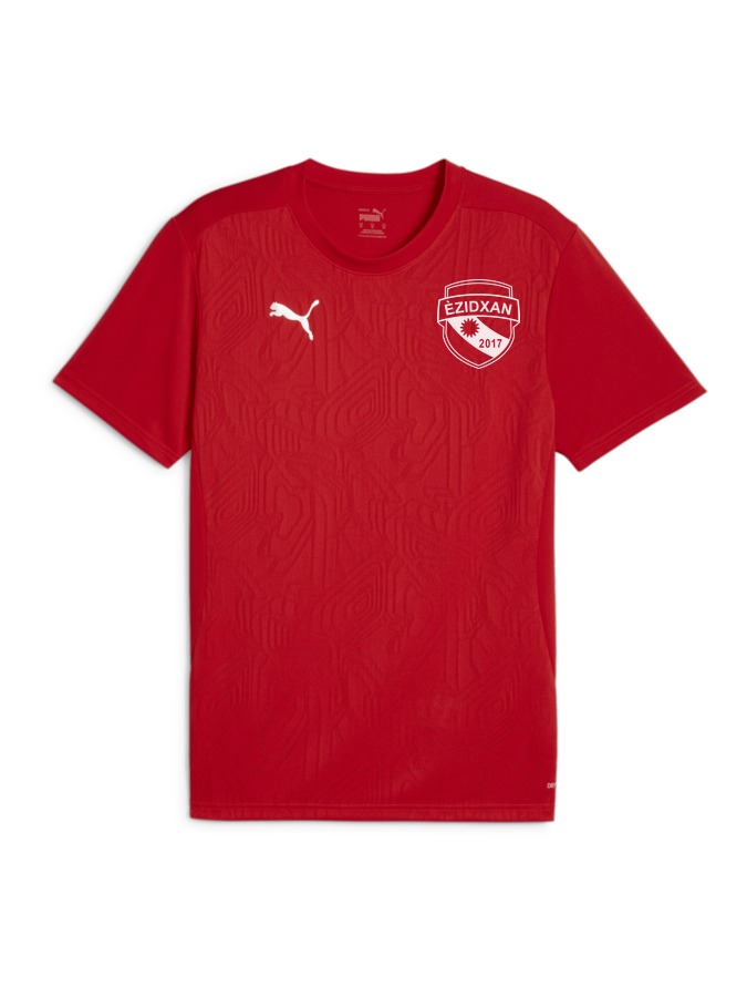 PUMA teamFINAL Trainingsshirt